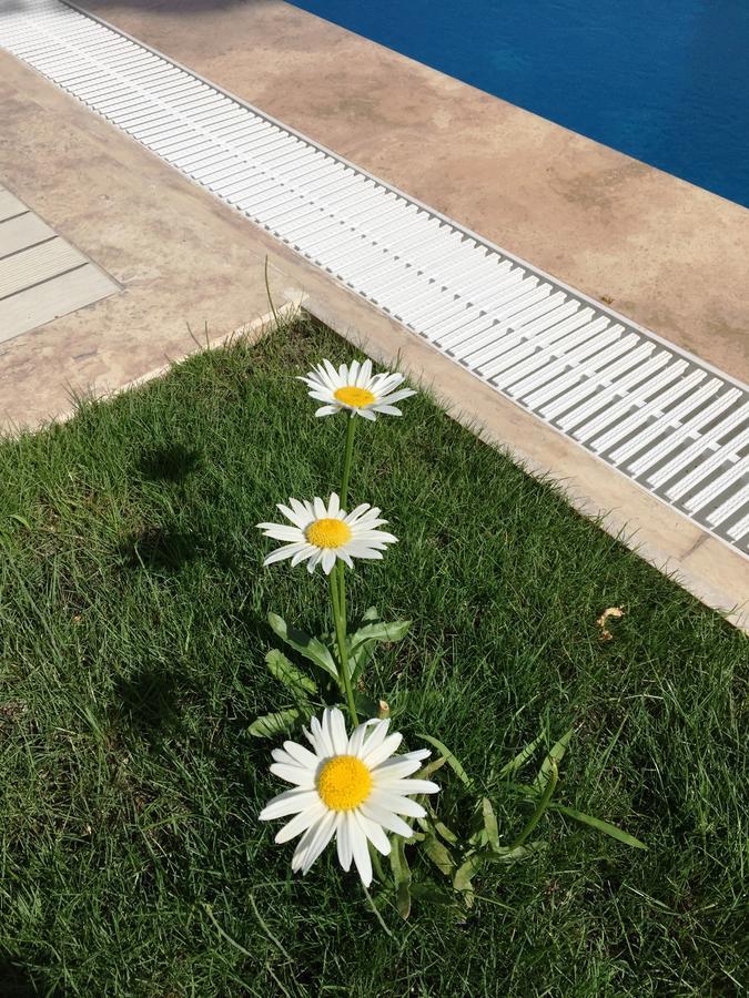 Casa Pallet Hotel (Adults Only) Dalyan Zewnętrze zdjęcie