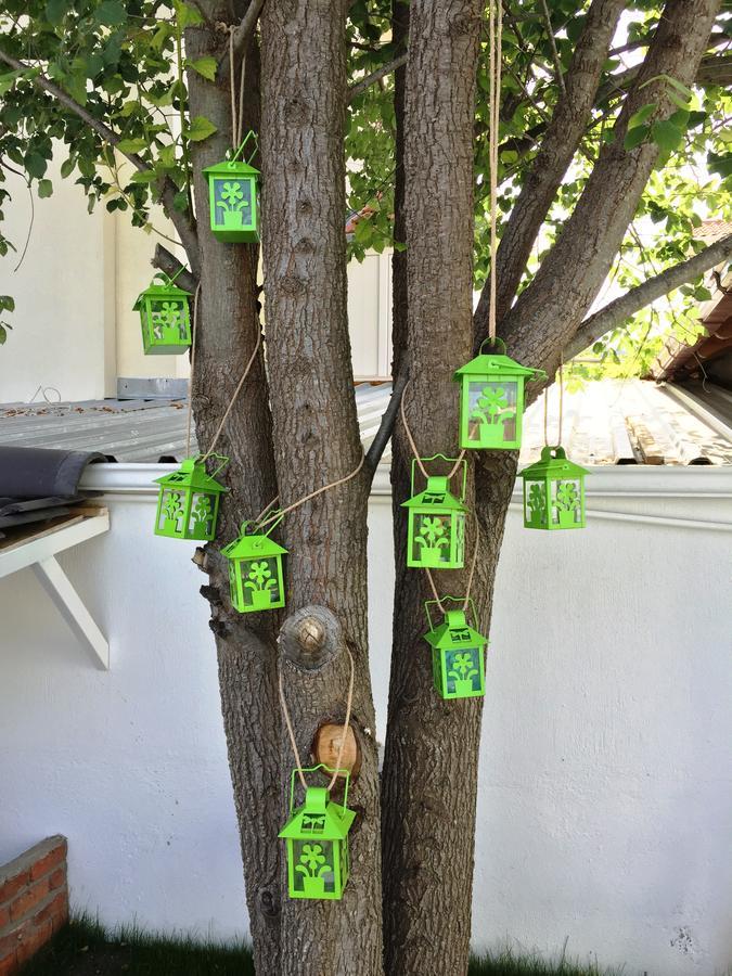 Casa Pallet Hotel (Adults Only) Dalyan Zewnętrze zdjęcie